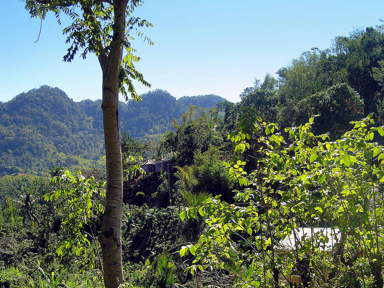 Foto Süden Jamaikas